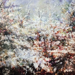 Symbiosis 140-19