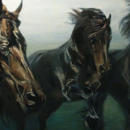 Friese paarden