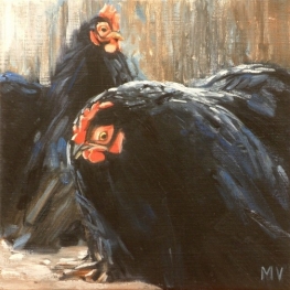 Wyandotte kippen I