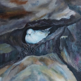 Duif in de rotskloof