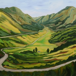 Groene Schotse Hooglanden