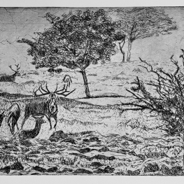 Landschap met herten