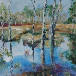 Verdronken heide