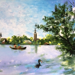 Aalscholver op de Nieuwkoopse plassen