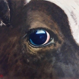  Eye on You 1