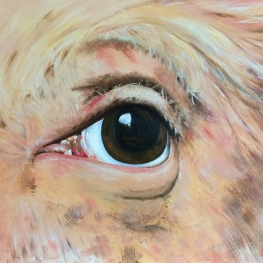Eye on You 2
