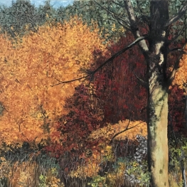 De Pluimpot, Herfst in de Lindelaan
