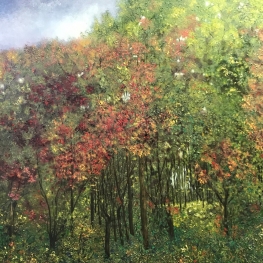 Herfst in het dorpsbos