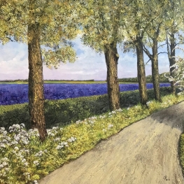 Bloemenveld langs de Veerdijk in mei