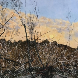 Berijpte wintermorgen