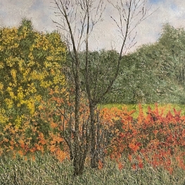Vuurbessen in oktober.