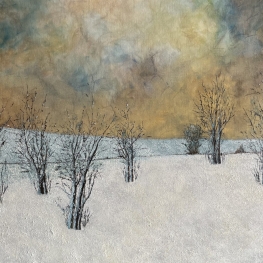 Januari, een witte wereld.