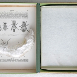 uit de serie: Bij-behorend  no. 1