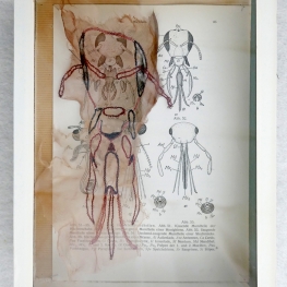 uit de serie: Bij-behorend no. 6 