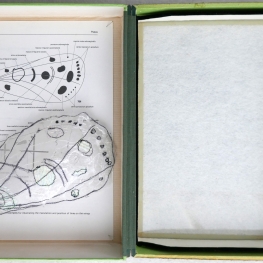 uit de serie: Bij-behorend  no.8