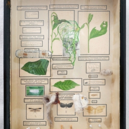 uit de serie Buitenzorg (1934) Thee