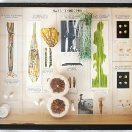 uit de serie Buitenzorg (1934) Mais