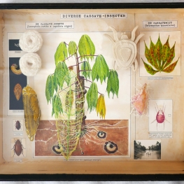 uit de serie Buitenzorg (1934) Cassave