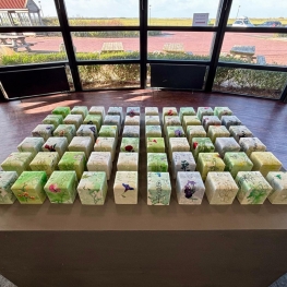 Serie Zwaarte-kracht