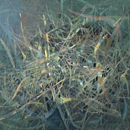 Yellow splinter