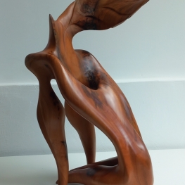 Corazon en la Montana