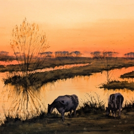 Koeien bij de Plassen in Avondrood