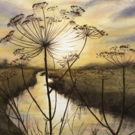 Fresh morning in Autumn