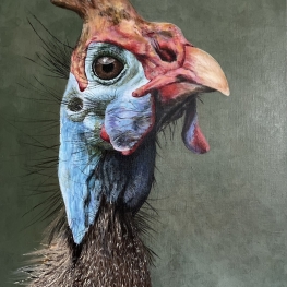 Parelhoender/poelepetaat