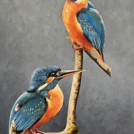 IJsvogels op tak