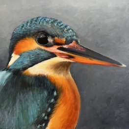 IJsvogel op tak