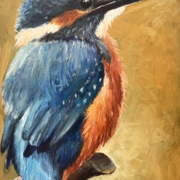 Mini ijsvogel