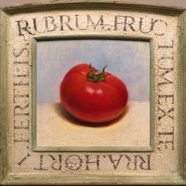 Stilleven met tomaat in gegraveerde craquelé lijst 