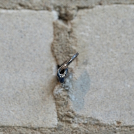 Tot in de puntjes: Rietveldpaviljoen 02-b