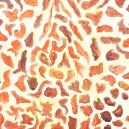 Wie aan de armen geeft, lijdt nooit gebrek