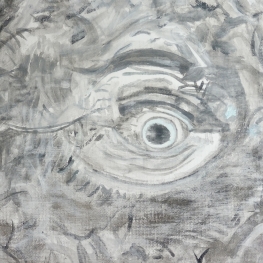 Het oog van een potvis