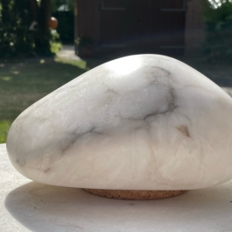 Gewone stuifmeel korst