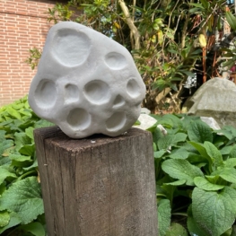 Kop- en schotelkorst