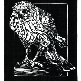 Torenvalk