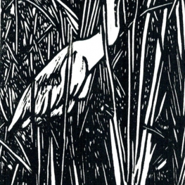 reiger 2