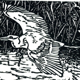 Reiger 3