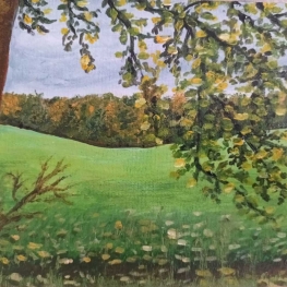 Op de Coesfelder Berg