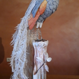 Zo trots als een pauw