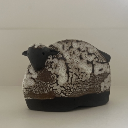 Kleine Blauwe Texelaartje 1 