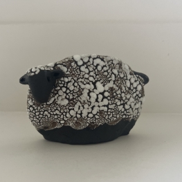 Kleine Blauwe Texelaartje 3 