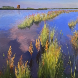 Gouden riet van de Biesbosch 