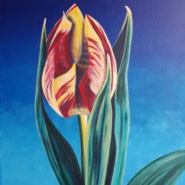Tulp Grand Perfection 