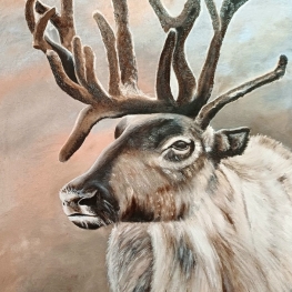 Reindeer II