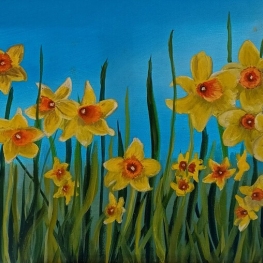 DAFFODILS 