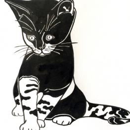 Mia's zwarte kitten