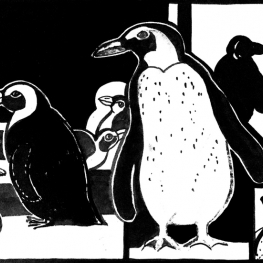 pinguins